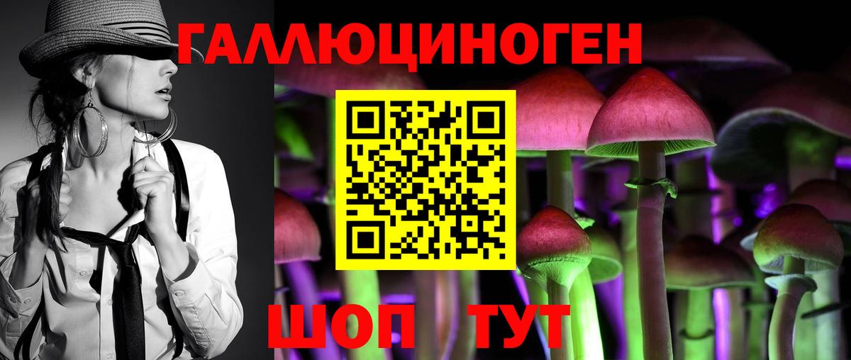 Канаш  Псилоцибиновые грибы ЛСД  Вход с VPN  Псилоцибиновые грибы мицелий 
